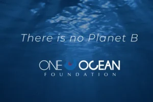 oneoceanfoundation